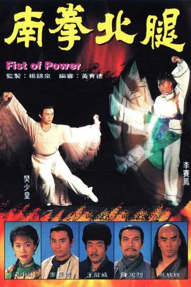 Phim Nam Quyền Bắc Cước - Fist of Power (1995)